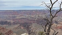 IMG_1291