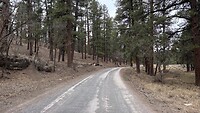 IMG_1310