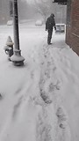 Snowstorm