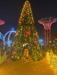 IMG-20251222-WA0008