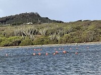 IMG-20260126-WA0001