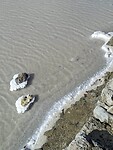 IMG-20260126-WA0002