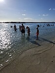 IMG-20260130-WA0008