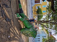 20260201_170645