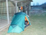 tentje op manege in lehne