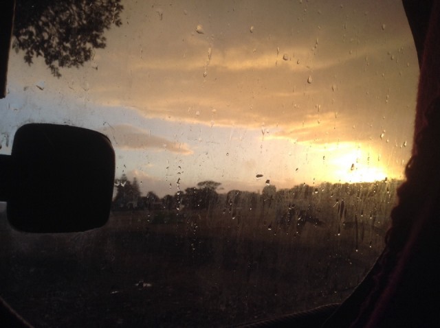 Rainy wake up..