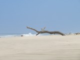 Mooiste strand! Een van de!