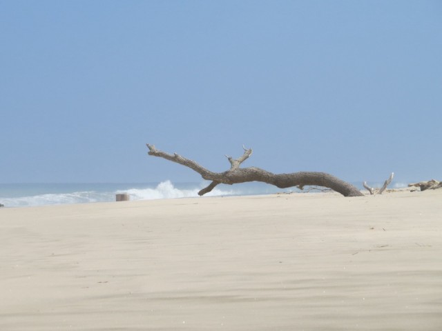 Mooiste strand! Een van de!