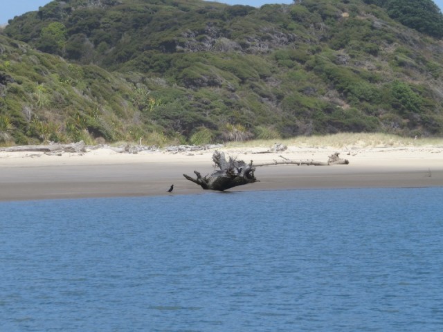 Plaatje