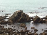 Zeehondjes bij Kaikoura