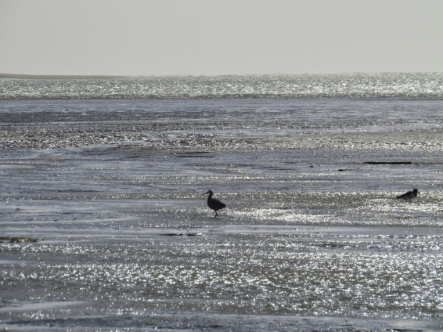 Arriving at Raglan
