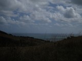 any view