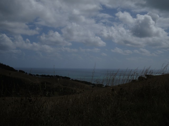 any view