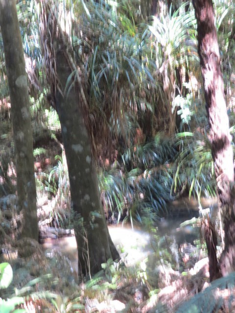 nature...