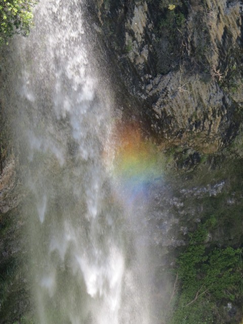 spotting rainbow in the waterfall
