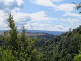 IMG_1870