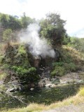 IMG_1910