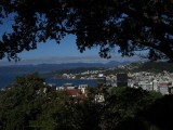 IMG_2008