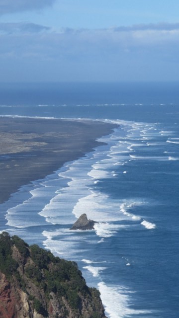 Auckland beChes
