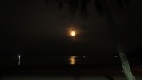 Moonlight