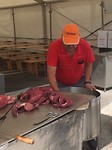Pulpo