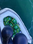 Wekelijkse boodschappen op Three Ships