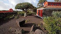 Lava landschap