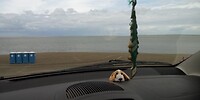 Mirja op de dijk in Den Helder
