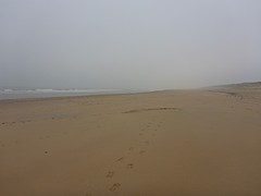 Leeg strand
