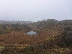 Meyendel