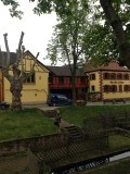 IMG_2722