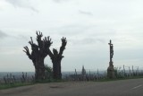 IMG_2728