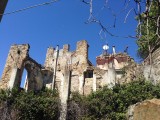 IMG_3161
