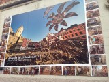 IMG_4074