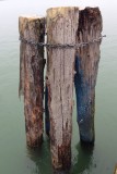 IMG_4262