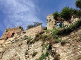 IMG_4304