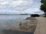 IMG_4333