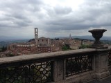 IMG_4579