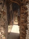 IMG_5428