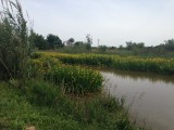 IMG_5584