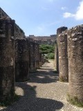 IMG_5799