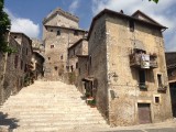IMG_5828