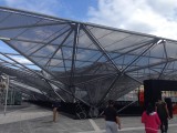 IMG_6009