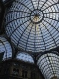IMG_6193