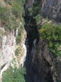IMG_7729