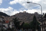 IMG_7803