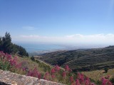 IMG_0369