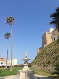 IMG_0616