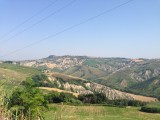 IMG_0954