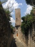 IMG_1414